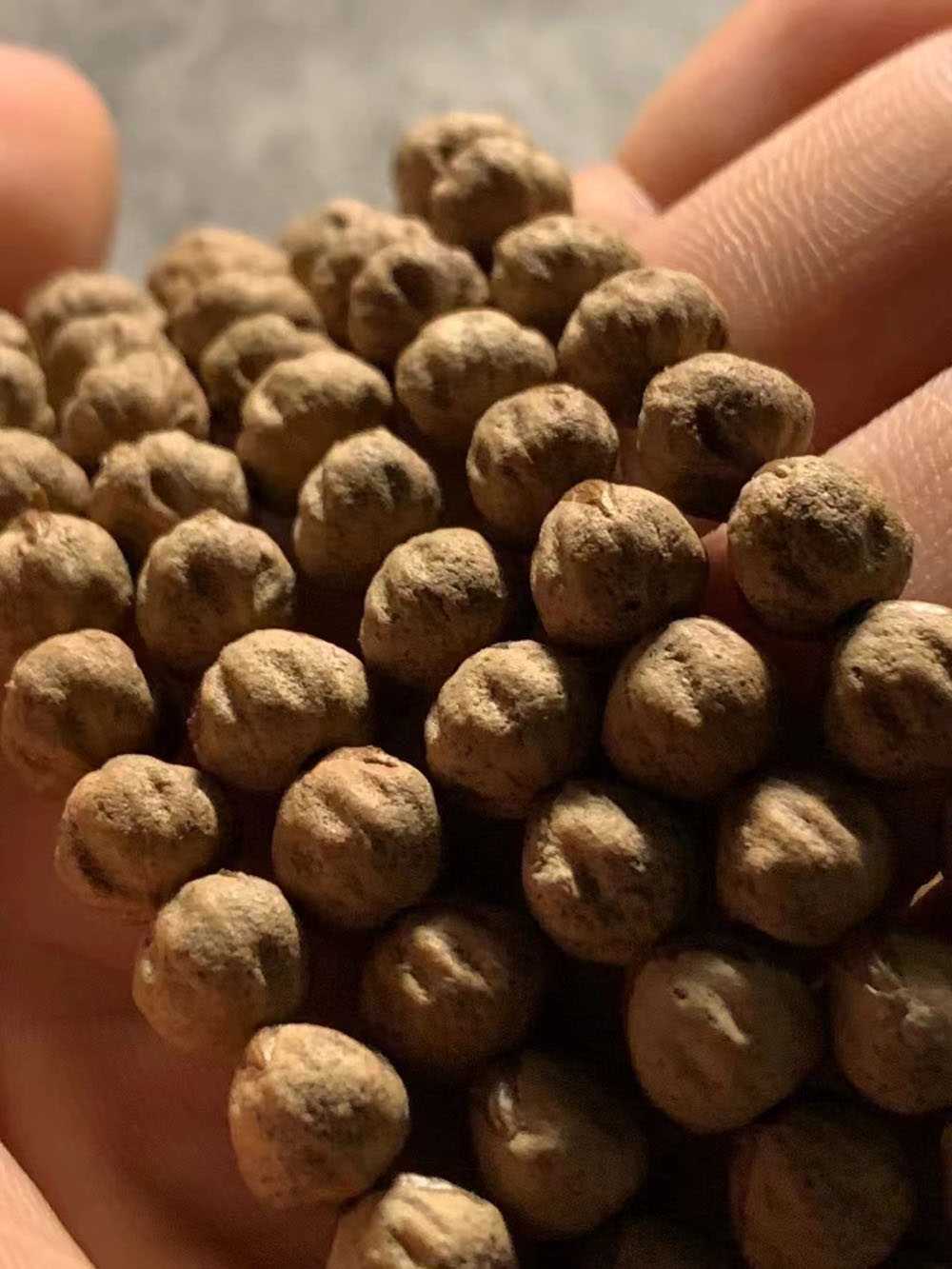 精工手作**毕业原桩金豆鬼脸