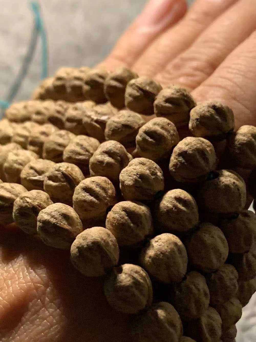 精工手作**毕业原桩金豆鬼脸