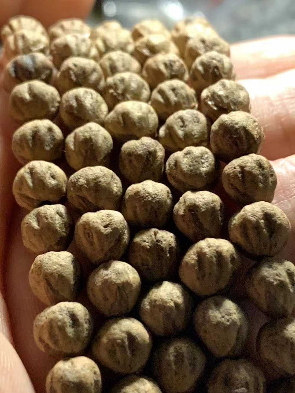 精工手作**毕业原桩金豆鬼脸