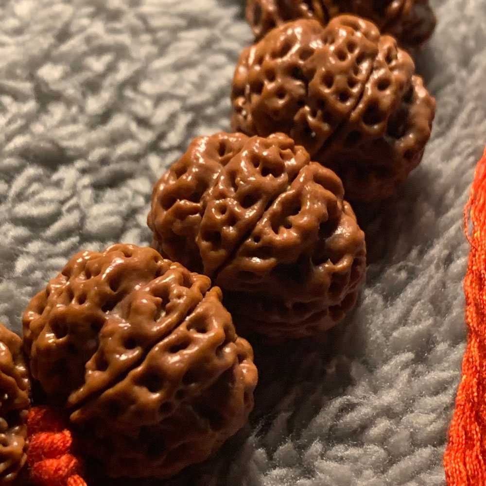 为何你的金刚菩提上色缓慢?解析金刚菩提包浆变色影响因素