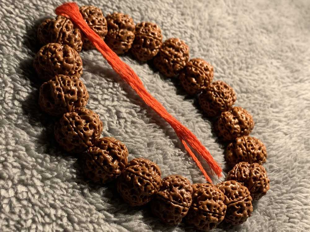 金刚菩提怎么盘玩才漂亮 新手分阶段盘玩心得与养护技巧