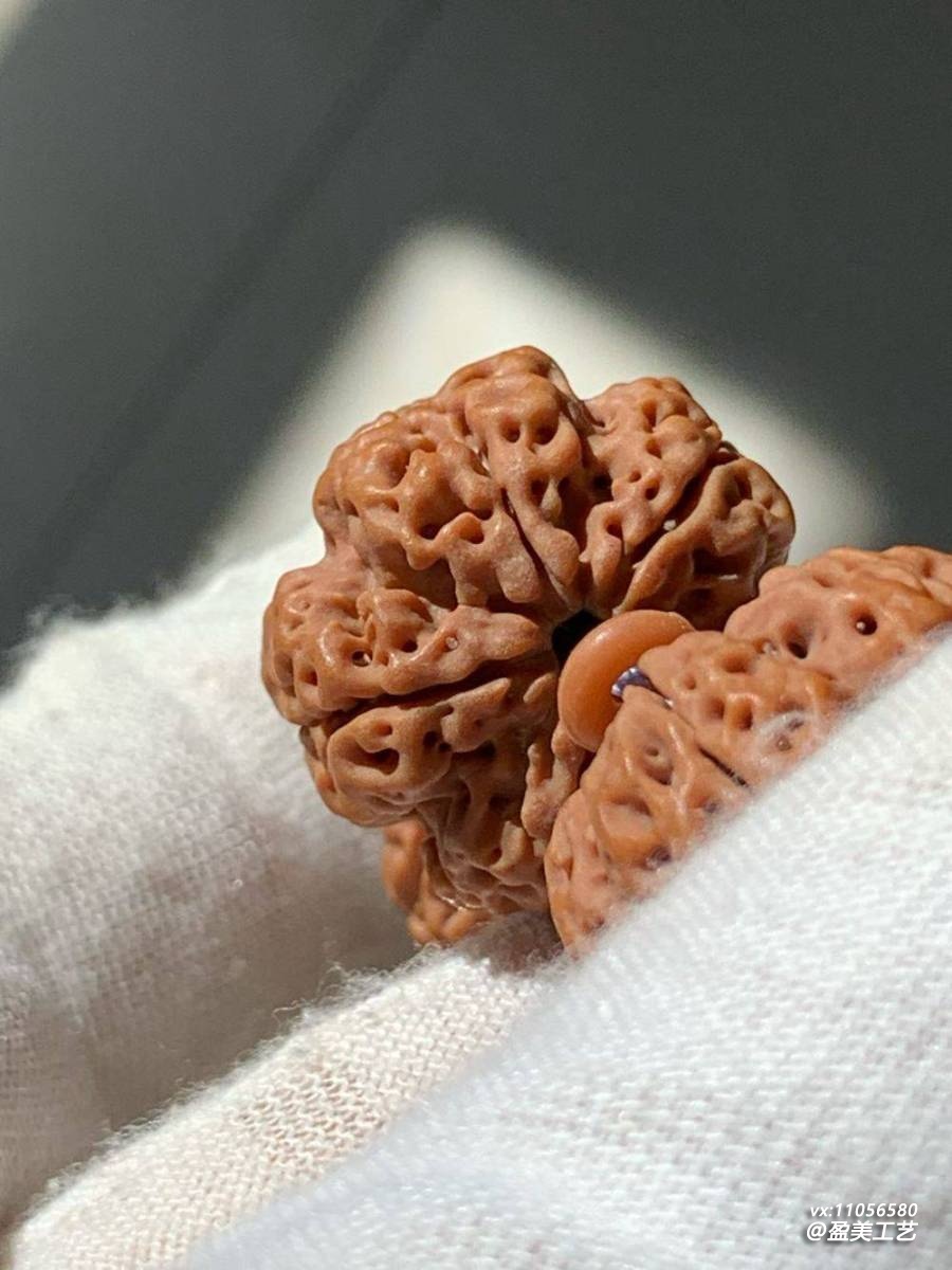 大金刚菩提精品欣赏